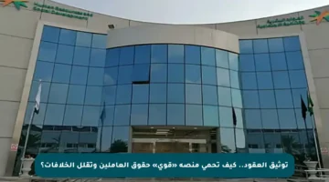 توثيق العقود.. كيف تحمي منصة «قوى» حقوق العاملين وتقلل الخلافات؟